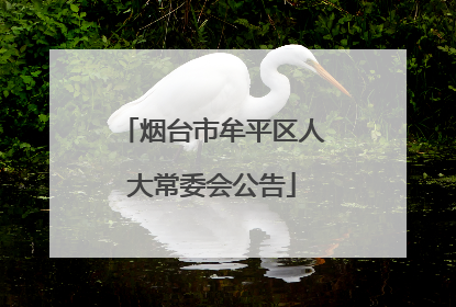 烟台市牟平区人大常委会公告
