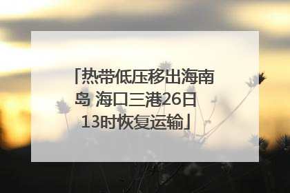 热带低压移出海南岛 海口三港26日13时恢复运输