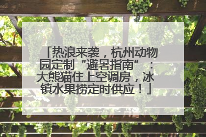 热浪来袭，杭州动物园定制“避暑指南”：大熊猫住上空调房，冰镇水果捞定时供应！