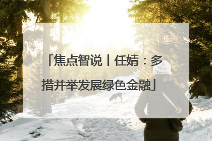 焦点智说丨任婧：多措并举发展绿色金融