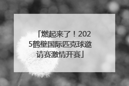 燃起来了！2025鹤壁国际匹克球邀请赛激情开赛