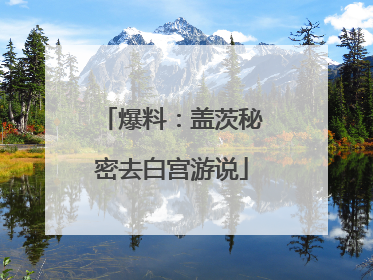 爆料：盖茨秘密去白宫游说