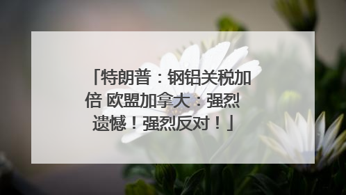 特朗普：钢铝关税加倍 欧盟加拿大：强烈遗憾！强烈反对！
