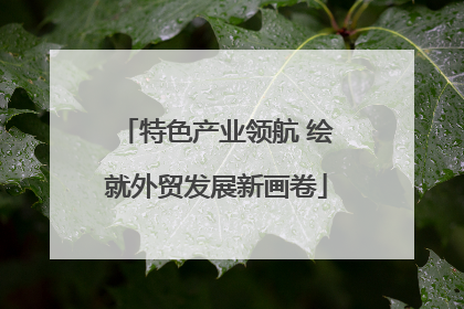 特色产业领航 绘就外贸发展新画卷