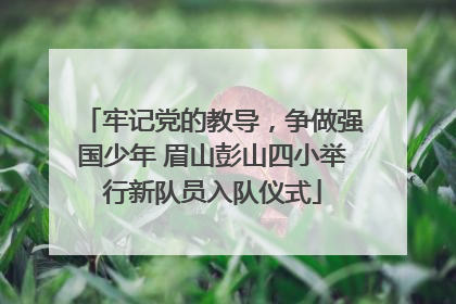 牢记党的教导，争做强国少年 眉山彭山四小举行新队员入队仪式