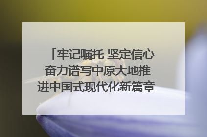牢记嘱托 坚定信心 奋力谱写中原大地推进中国式现代化新篇章（六）河南绘就“行走河南·读懂中国”新画卷丨牢记嘱托谱新篇