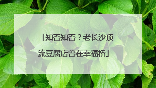 知否知否？老长沙顶流豆腐店曾在幸福桥