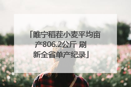 睢宁稻茬小麦平均亩产806.2公斤 刷新全省单产纪录
