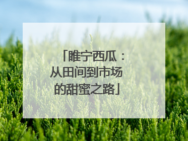 睢宁西瓜：从田间到市场的甜蜜之路