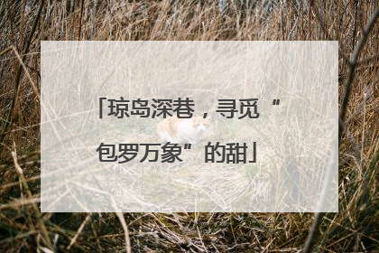 琼岛深巷，寻觅“包罗万象”的甜