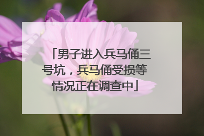男子进入兵马俑三号坑，兵马俑受损等情况正在调查中