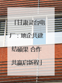 甘肃灵台电厂：地企共建结硕果 合作共赢启新程