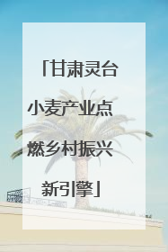 甘肃灵台小麦产业点燃乡村振兴新引擎