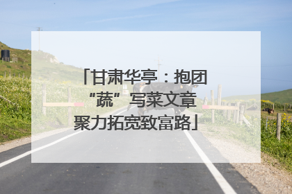 甘肃华亭：抱团“蔬”写菜文章 聚力拓宽致富路