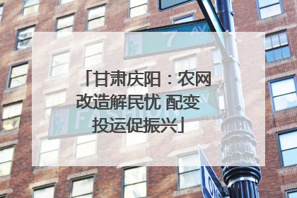 甘肃庆阳：农网改造解民忧 配变投运促振兴