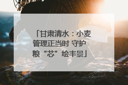 甘肃清水：小麦管理正当时 守护粮“芯”绘丰景
