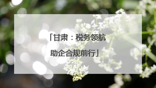 甘肃：税务领航 助企合规前行