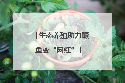 生态养殖助力鳜鱼变“网红”