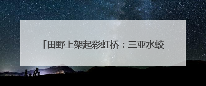 田野上架起彩虹桥：三亚水蛟村“农田+”激活乡村经济