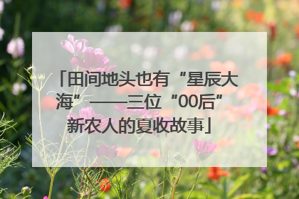 田间地头也有“星辰大海”——三位“00后”新农人的夏收故事