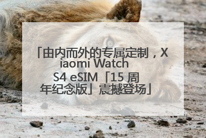 由内而外的专属定制，Xiaomi Watch S4 eSIM「15 周年纪念版」震撼登场