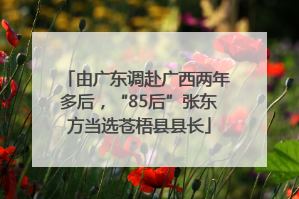 由广东调赴广西两年多后，“85后”张东方当选苍梧县县长