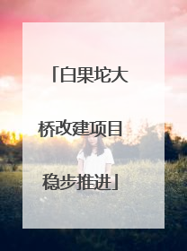 白果坨大桥改建项目稳步推进
