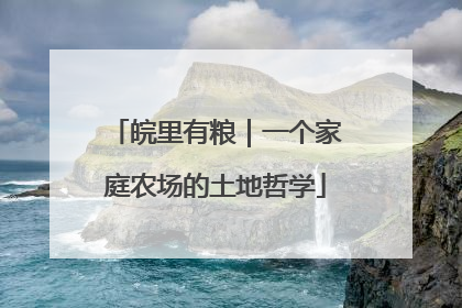 皖里有粮｜一个家庭农场的土地哲学