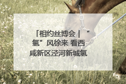 相约丝博会｜“氢”风徐来 看西咸新区泾河新城氢能产业聚链成势
