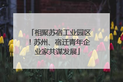 相聚苏宿工业园区！苏州、宿迁青年企业家共谋发展
