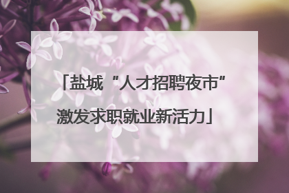 盐城“人才招聘夜市”激发求职就业新活力