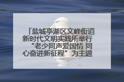 盐城亭湖区文峰街道新时代文明实践所举行“老少同声爱国情 同心奋进新征程”为主题的红色文化活动