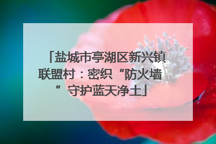 盐城市亭湖区新兴镇联盟村：密织“防火墙”守护蓝天净土