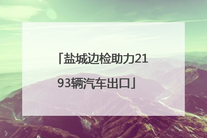 盐城边检助力2193辆汽车出口