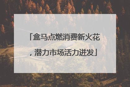 盒马点燃消费新火花，潜力市场活力迸发