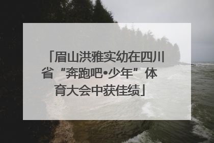 眉山洪雅实幼在四川省“奔跑吧•少年”体育大会中获佳绩