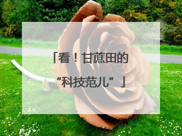 看！甘蔗田的“科技范儿”