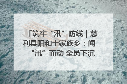 筑牢“汛”防线｜慈利县阳和土家族乡：闻“汛”而动 全员下沉筑牢防汛“安全堤”