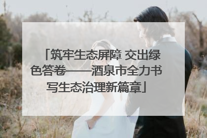 筑牢生态屏障 交出绿色答卷——酒泉市全力书写生态治理新篇章
