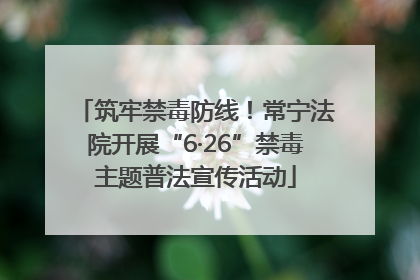 筑牢禁毒防线！常宁法院开展“6·26”禁毒主题普法宣传活动