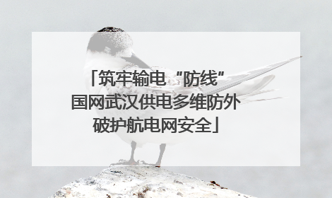 筑牢输电“防线” 国网武汉供电多维防外破护航电网安全