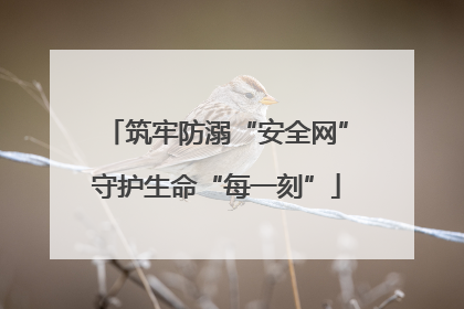 筑牢防溺“安全网”守护生命“每一刻”