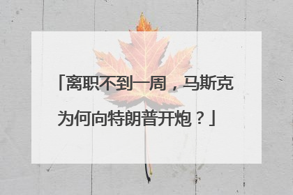 离职不到一周，马斯克为何向特朗普开炮？