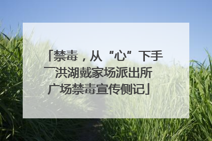 禁毒，从“心”下手――洪湖戴家场派出所广场禁毒宣传侧记