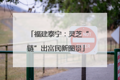 福建泰宁：灵芝“链”出富民新图景