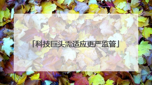 科技巨头需适应更严监管