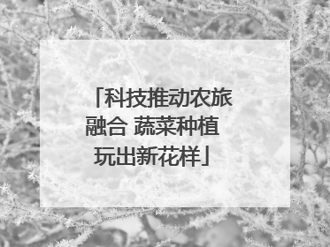 科技推动农旅融合 蔬菜种植玩出新花样
