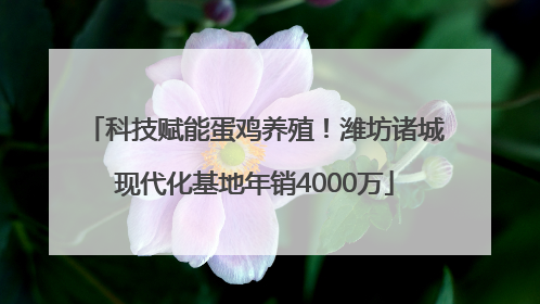 科技赋能蛋鸡养殖！潍坊诸城现代化基地年销4000万