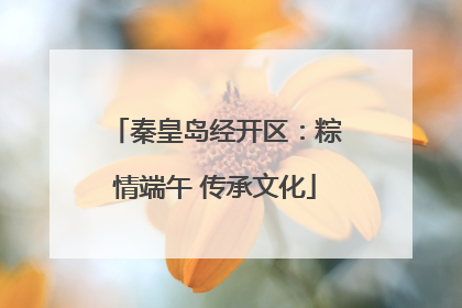 秦皇岛经开区：粽情端午 传承文化