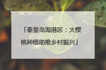 秦皇岛海港区：大樱桃种植助推乡村振兴